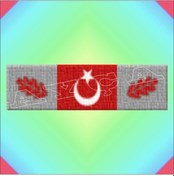 Resim Muharebe Yaralisi Şerit Rozeti Gümüş 