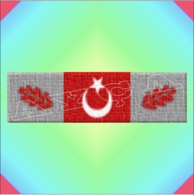 Resim Muharebe Yaralisi Şerit Rozeti Gümüş 