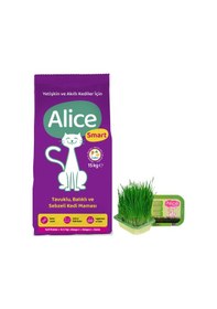 Resim Alice Smart Balıklı Tavuklu ve Sebzeli Yetişkin Kedi Maması 15 KG + Alice Kedi Çimi 