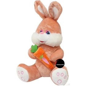 Resim Sevimli Havuç Tutan Tavşan Peluş Oyuncak Uyku Arkadaşı Büyük Boy 40 Cm Turuncu 