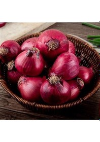 Resim Ata Tohumları Geleneksel Yüksek Aromalı Ata 19 Kırmızı Çorum Tipi Soğan Tohumu 50 Tohum 