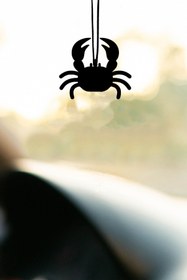 Resim mufamet Metal Yengeç Motifli Dikiz Aynası Süsü Oto Aksesuar Araba Süsü 