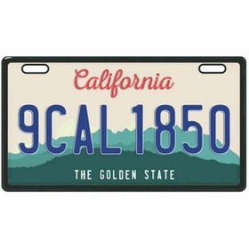 Resim GOGOPREMİUM CALIFORNİA 2 E-BİKE PLAKALIK 