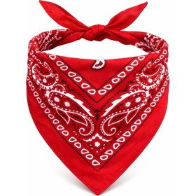 Resim Pileli Store Kırmızı Kovboy Fuları Çocuk Bandana 