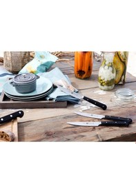 Resim Zwilling 4'lü Tırtıklı Biftek Bıçağı Seti Diğer 