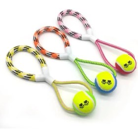 Resim Ipli Köpek Oyun Topu 