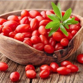 Resim Tüplü Nq7 Kırmızı Goji Berry Fidanı 