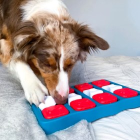 Resim Dog Brick İnteractive Puzzle Köpek Zeka Oyuncağı Ve Mama Kabı 