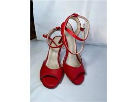 Resim Suna Tango, Salsa,bacata, Swıng Cazz Kadın Dans Ayakkabısı Kelebek-8,5 (13 Pont) 