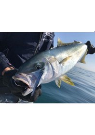 Resim Little Jack Metal Adict 03 60 Gr Jig Yem (508397964) 