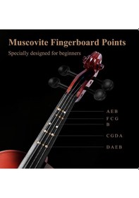 Resim Eastar Eva-2 4/4 Keman Seti Natural 