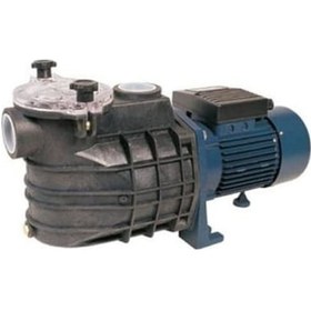 Resim 1.5Hp-220V-Havuz Salamur Ve Kirli Su Pompası Filtreli 