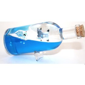 Resim Şişe İçinde Batmayan Gemi Alk3204 