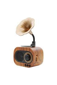 Resim TeknoNow B5 Nostaljik Mini Gramafon Radyo Usb Aux Bluetooth Radyo Yüksek Ses Kalitesi 
