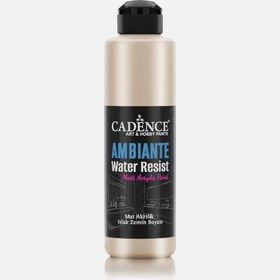 Resim Ambiente Akrilik Platin 250ml Kat 10g AWM02 