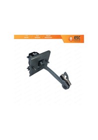 Resim Citroen C4 Mk2 Ds4 için Ön Kapı Gergi Yayı 9181r1 N11.3223 