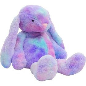 Resim Peluş Renkli Ve Uzun Kulaklı Tavşan 55 Cm 62450 Mor 