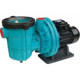 Resim Pumpex-150T 1.5Hp 380 V Havuz Pompası 