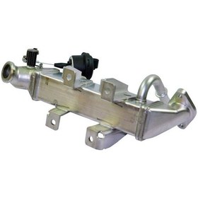 Resim Kale Egr Valfi 8200910446 Master Iıı Trafıc Iı 