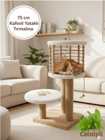 Resim Komano Pontika Kafesli Kedi Evi ve Kedi Tırmalama Tahtası |Kedi Yataklı Tırmalama | 75 cm | Modern ve Şık Tasarım 