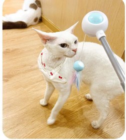 Resim Paw Portal Geri Çekilebilir Esnek Kedi Değnek Oyuncağı - Mavi 