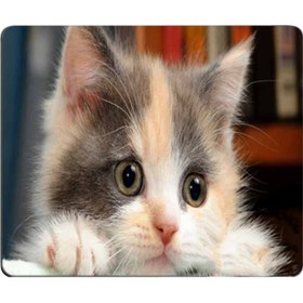 Resim Wezone Kedi Desenli Kaymazsız Mouse Pad - 9 Seçenekli Komik Kedi Resimli, 180x220x2mm, Oyun Ve Çalışma İçin Bilgisayar/macbook Uyumlu Diğer 