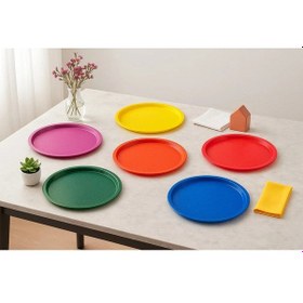 Resim 6 Kişilik Plastik Renkli Sunum Servis Tepsisi Tepsi 