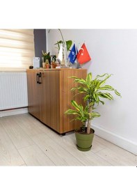 Resim Poliwork Tabaklı Plastik Saksı 2,2 Lt 165 155 Mm 