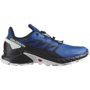 Resim Salomon Erkek Mavi Sneaker L47315700 
