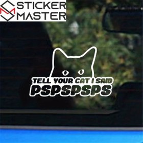 Resim Tell Your Cat I Said PSPSPS | Komik Kedi Sticker Araba Yazısı (16x9 cm) - Siyah 
