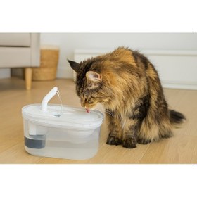 Resim Cans Arıtmalı Kedi Su Sebili 2.5 Lt - Sessiz Motorlu, Karbon Filtreli Ve Hijyenik Su Kaynağı 