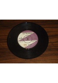 Resim Erol Büyükburç - Aşka Kapalı Kalbim - Gül Ayşe 