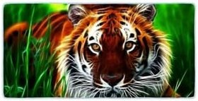 Resim Colorix Carpet Kaymaz Taban Tezgah Önü Mutfak Paspası 75x150 Cm No: 002 