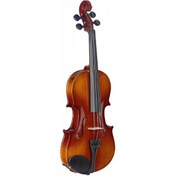Resim Stagg VN1/2L Keman 