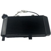 Resim Radyatör Komple Nk250 E4 