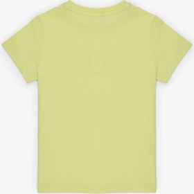 Resim U.s. Polo Assn. Erkek Çocuk Tişört Basic 50325607-VR257 