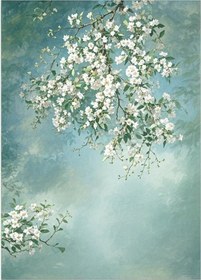 Resim Mufunye Andoer Polyester Fotoğraf Fon Perdesi - 1.5x2.1m Taşınabilir Ve Kullanışlı Tasarım 