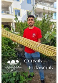 Resim 1,5 Metre Fidan Bitki Destek Çubuğu Bambu 10 Adet 
