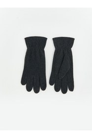 Resim LC Waikiki Timeless Clothing & Zamansız Seçimler Erkek Polar Eldiven 
