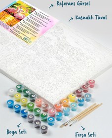 Resim Tabdiko Sayılarla Boyama Seti 40 x 50 cm Tuval Şasesine Gerili Flamingo Ailesi 