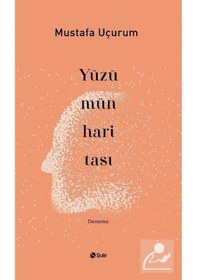 Resim Yüzümün Haritası - Mustafa Uçurum - Şule Yayınları 
