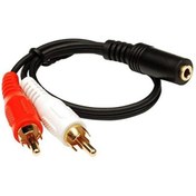 Resim 3,5mm stereo dişi - 2x RCA erkek ses çevirici kablo Keepro