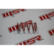 Resim Polaris 1000 Varyatör Yayı (490566394) 