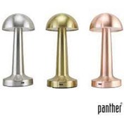 Resim Panther PT-700 USB Şarjlı Masa Lambası (Karışık Renk) 