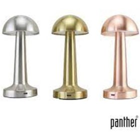 Resim Panther PT-700 USB Şarjlı Masa Lambası (Karışık Renk) 