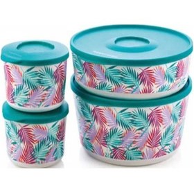 Resim Tupperware Delüks Saklama Kabı 4 Lü Set Esc Çok Renkli 