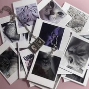 Resim 1 Adet Şeffaf Kedi Tüyü Anı Kabuğun - Sevimli Yavru kedi şeklinde Anahtarlık tasarım, Köpek ve Evcil Hayvanların Saçlarını İncelemek işin Hava Geç irmalığa Sahip Kapaklı Pet Fur Saklama Gashapon. Hatırada Kalacak Bir Eser ya da yenilikci Kolye Olabilir;Köpürgeyi sak, Çevre Dostu ileti 