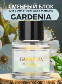 Resim Topairtech Araba Kokusu İçin Değiştirilebilir Koku 413455075 