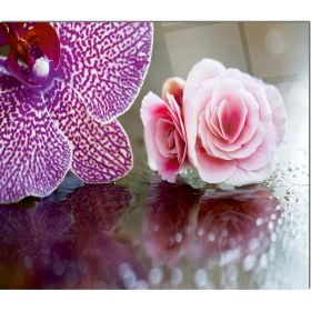 Resim Olinpa Cam Ocak Arkası Koruyucu | Çiçek Desenli 