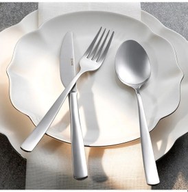 Resim Schafer Lena Çatal Kaşık Bıçak Takımı 18 Parça Gum02 Çok Renkli 